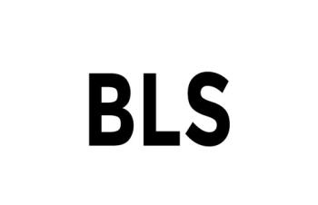 BLS - Backend Language Switcher Pro